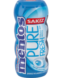 Mentos Pure Fresh Nane Sakız (60 gr )