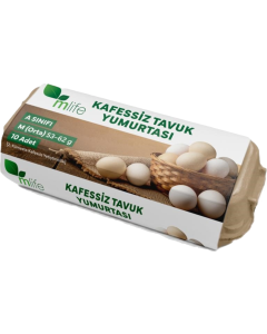 M Lıfe Kafessiz Orta Boy Yumurta (10 Adet)