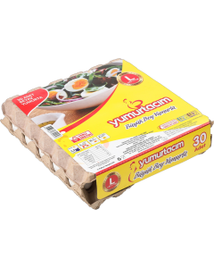 Yumurtacım Büyük Boy Yumurta (30 Adet)