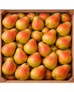Armut (1 kg)