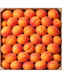 Kayısı (1 kg)