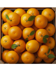 Portakal (1 kg)