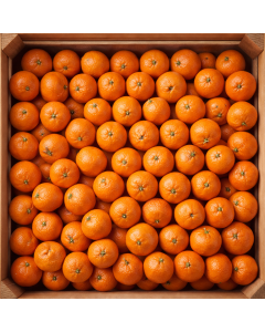 Mandalina (1 kg)