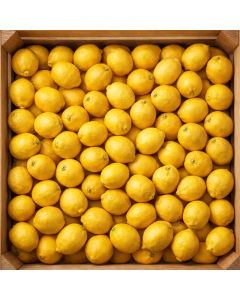 Limon (1 adet)