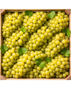  Üzüm (1 kg)