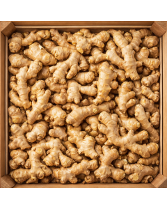 Zencefil (1 kg)